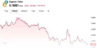 ۱ میلیارد توکن دوج کوین معامله شد؛ آیا قیمت کاهش مییابد؟ نمودار قیمت دوج کوین