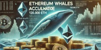 شکار بزرگ نهنگها: خرید ۱۲۰ هزار اتریوم! خرید بزرگ اتریوم توسط نهنگ ها