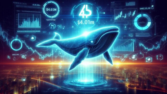 احتمال افزایش قیمت هیپرلیکوئید با سرمایه‌گذاری یک نهنگ