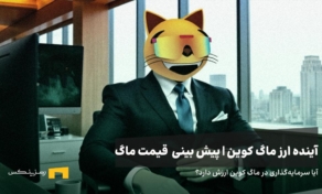 آینده ارز ماگ کوین | پیش بینی قیمت ارز ماگ کوین