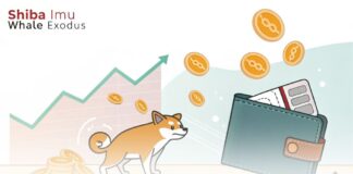 خروج نهنگهای شیبا اینو؛ تاثیر کاهش ۷۰ درصدی ورودیها بر بازار اهش ورود توکنهای شیبا اینو به بازار و کاهش نقدینگی، نماد نزولی بودن بازار