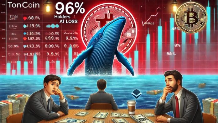 هولدرهای تون کوین در ضرر و نجات توسط نهنگ ها