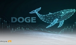نهنگ دوج کوین و علامت DOGE