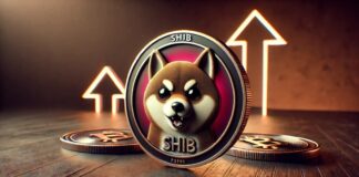 شیبا اینو در مسیر رشد؛ سیگنالهای صعودی فعال شدند بررسی دلایل جهش صعودی قیمت شیبا اینو