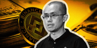 دامیننس بایننس کوین چیست؟ کاربرد و عملکرد دامیننس BNB دامیننس بایننس کوین چیست؟ کاربرد و عملکرد دامیننس BNB