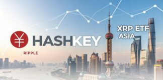 همکاری جدید ریپل و Hashkey؛ راهاندازی اولین ETF ریپل در آسیا همکاری جدید ریپل و Hashkey؛ راهاندازی اولین ETF ریپل در آسیا