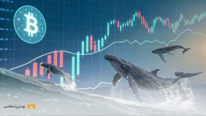 نوسانات شدید بیت‌کوین با جابجایی ۱۴ میلیارد دلار و تجمع نهنگ‌ها در بازار