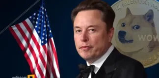 افشاگری سنا علیه ایلان ماسک، سوءاستفاده از دوج کوین افشاگری سنا علیه ایلان ماسک، سوءاستفاده از دوج کوین