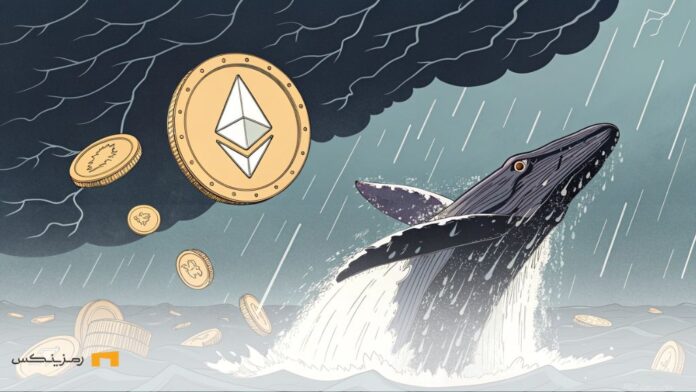 لیکوئید شدن یک نهنگ اتریوم در طوفان دیجیتال بازار ارزهای دیجیتال