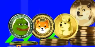 آیا میمکوینها آماده جهش دوباره هستند؟ آیا میمکوینها آماده جهش دوباره هستند؟