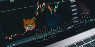 آلتکوینها آماده رالی بزرگ | ورود نقدینگی جهانی آلتکوینها آماده رالی بزرگ | ورود نقدینگی جهانی