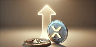 مدیرعامل ریپل: قیمت XRP میتواند به بیتکوین برسد مدیرعامل ریپل: قیمت ریپل میتواند به بیتکوین برسد