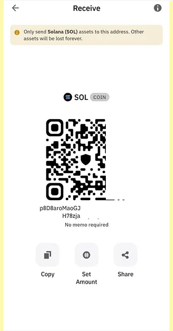 آدرس سولانا در تراست ولت