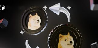 شبکه انتقال دوج کوین چیست؟ + راهنمای انتخاب شبکه دوج کوین شبکه انتقال دوج کوین چیست؟ + راهنمای انتخاب شبکه دوج کوین