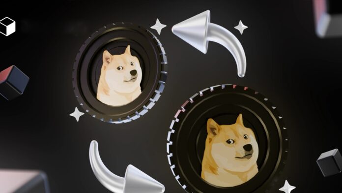 what-is-dogecoin-network شبکه انتقال دوج کوین چیست؟ + راهنمای انتخاب شبکه دوج کوین