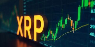 ۷۰ درصد معاملهگران بایننس روی صعود ریپل شرط بستهاند! سفارشات خرید باز معاملا گران صرافی بایننس بر روی ریپل