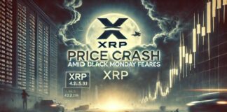 دوشنبه سیاه و سقوط ریپل؛ آیا قیمت به ۱ دلار میرسد؟ سقوط قیمت ریپل در دوشنبه سیاه