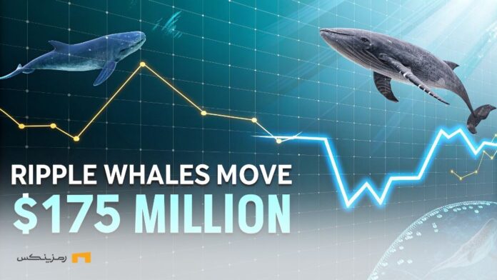 Ripple-on-verge-jump-whales-moved-$175-million ریپل در آستانه جهش؛ نهنگها ۱۷۵ میلیون دلار جابهجا کردند!