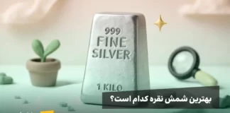 معرفی بهترین برندهای شمش نقره در ایران و جهان یک شمش نقره در کنار گلدان، معرفی بهترین شمش نقره در ایران و جهان