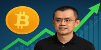 معرفی ۴ حوزه ترند و آماده رشد در آلتکوینها از سوی CZ معرفی ۴ حوزه ترند و آماده رشد در آلتکوینها از سوی CZ