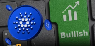 کاردانو گزینه اصلی رهبری بازار آلتکوینها در سال ۲۰۲۵ کاردانو گزینه اصلی رهبری بازار آلتکوینها در سال ۲۰۲۵