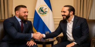 دیدار مکگرگور و رئیسجمهور السالوادور درباره ذخایر بیتکوین دیدار کانر مکگرگور با رئیسجمهور السالوادور درباره ذخایر بیتکوین