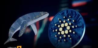 خرید ۸۰ میلیون کاردانو توسط نهنگها در ۴۸ ساعت اخیر خرید ۸۰ میلیون کاردانو توسط نهنگها در ۴۸ ساعت اخیر