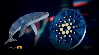 خرید ۸۰ میلیون کاردانو توسط نهنگها در ۴۸ ساعت اخیر