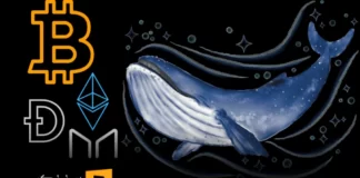 تحلیل معاملات نهنگها در هفته گذشته: انباشت یا تخلیه سرمایه؟ تحلیل معاملات نهنگها در هفته گذشته: انباشت یا تخلیه سرمایه؟