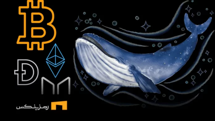 تحلیل معاملات نهنگ‌ها در هفته گذشته: انباشت یا تخلیه سرمایه؟