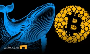 نهنگها در هفته گذشته چه ارزهایی را خرید و فروش کردند؟
