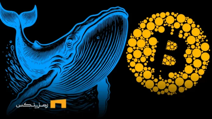 نهنگ‌ها در هفته گذشته چه ارزهایی را خرید و فروش کردند؟