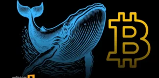 تحلیل معاملات نهنگها در هفته گذشته: انباشت یا تخلیه سرمایه؟ تحلیل معاملات نهنگها در هفته گذشته: انباشت یا تخلیه سرمایه؟