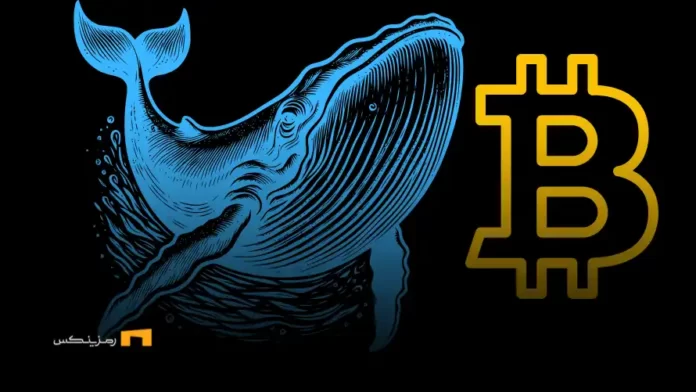 transaction-whales-of-crypto تحلیل معاملات نهنگها در هفته گذشته: انباشت یا تخلیه سرمایه؟