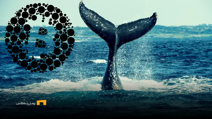 تحلیل تراکنشهای نهنگها در ۲۰ اردیبهشت ۱۴۰۴ تحلیل تراکنشهای نهنگها در 20 اردیبهشت ۱۴۰۴