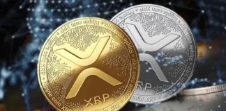 بهترین میم کوین های ریپل کدامند؟ میم کوینهای ریپل چیست