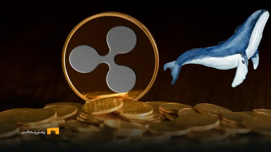 خرید مجدد ریپل توسط نهنگها | ۸۸۰ میلیون ورود سرمایه خرید مجدد ریپل توسط نهنگها | ۸۸۰ میلیون ورود سرمایه