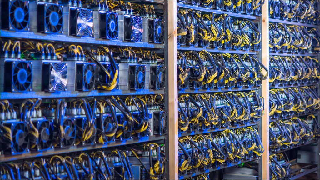 استخر ViaBTC