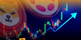 دو رمزارزی که ممکن است ۱۰۰ درصد رشد داشتهباشند دو رمزارزی که ممکن است 100 درصد رشد داشتهباشند