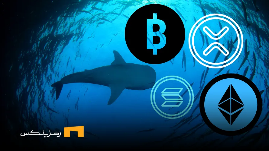 تحلیل معاملات نهنگها در هفته گذشته: انباشت یا تخلیه سرمایه؟ تحلیل معاملات نهنگها در هفته گذشته: انباشت یا تخلیه سرمایه؟