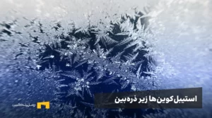 استیبل‌کوین‌ها زیر ذره‌بین: فریز شدن تتر، گزینه‌های امن و توصیه‌های حیاتی برای کاربران ایرانی