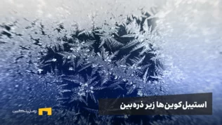 استیبل‌کوین‌ها زیر ذره‌بین: فریز شدن تتر، گزینه‌های امن و توصیه‌های حیاتی برای کاربران ایرانی