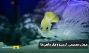 هوش مصنوعی، بازار کریپتو و مغز ماهی‌ها!