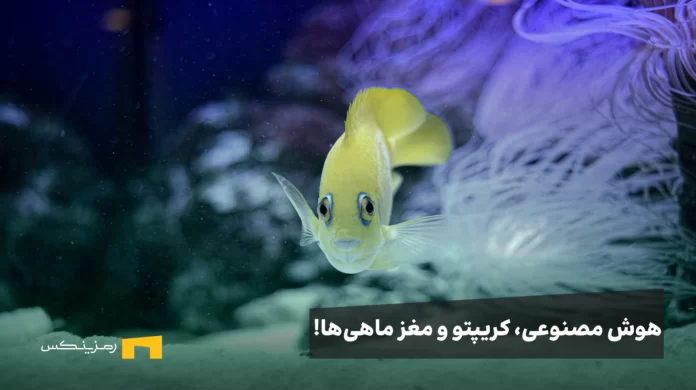 dmitry-bukhantsov-1t744FgNYgo-unsplash هوش مصنوعی، بازار کریپتو و مغز ماهیها!