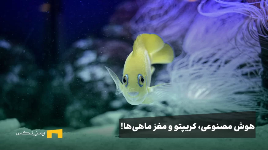 هوش مصنوعی، بازار کریپتو و مغز ماهی‌ها!