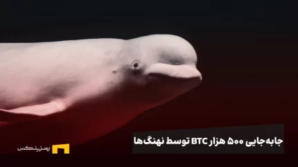 جابه‌جایی ۵۰۰ هزار BTC توسط نهنگ‌ها