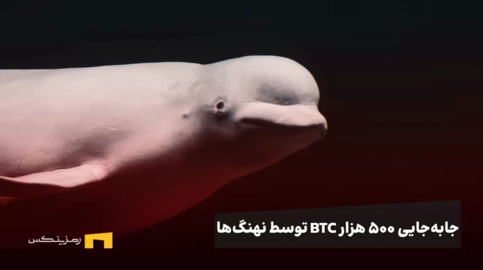 mendar-bouchali-djtZXyJkTU4-unsplash جابهجایی ۵۰۰ هزار BTC توسط نهنگها