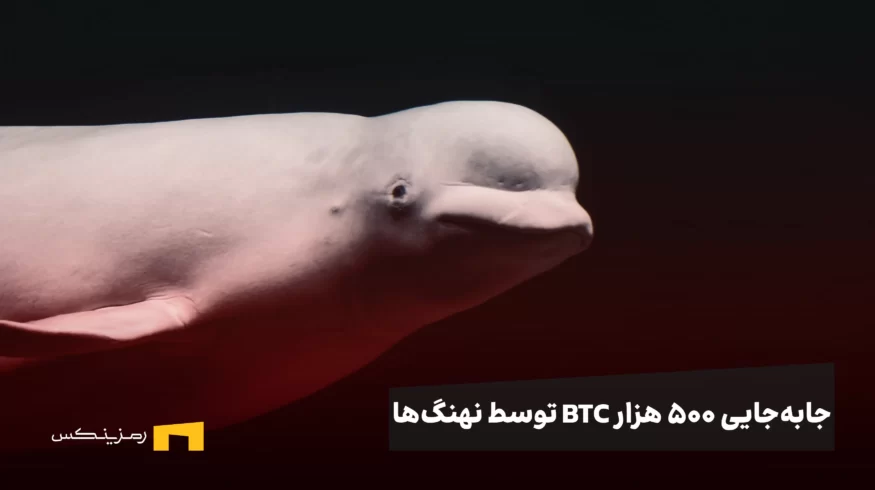 جابه‌جایی ۵۰۰ هزار BTC توسط نهنگ‌ها