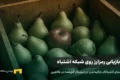 آموزش کامل بازیابی رمزارز بعد از ارسال به بلاکچین اشتباه