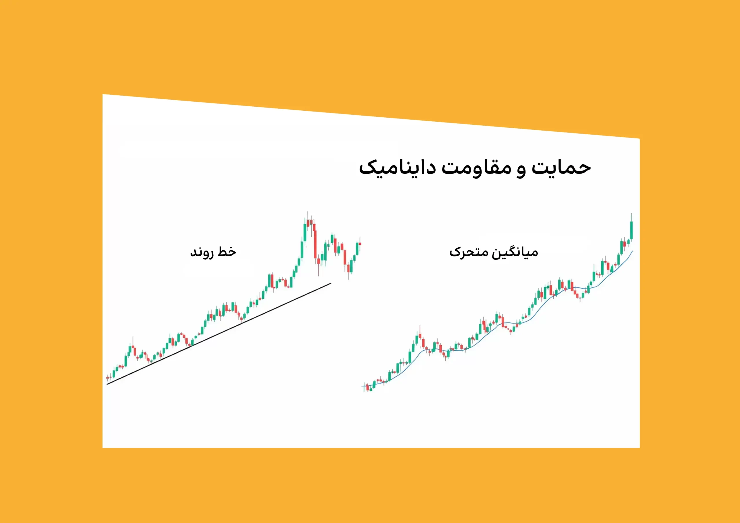 حمایت داینامیک